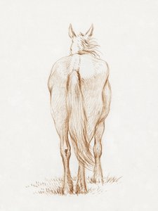 Cavalo em pé (1815), de Jean Bernard de Jean Bernard
