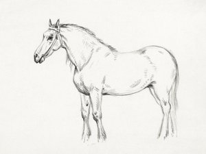 Cavalo em pé (1818) de Jean Bernard
