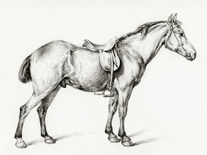 Cavalo em pé, de Jean Bernard (1775-1883) de Jean Bernard