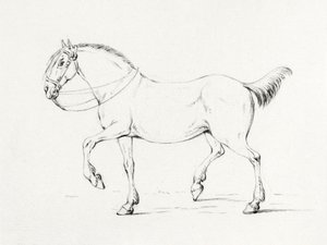 Stepping Horse (1775–1833) de Jean Bernard