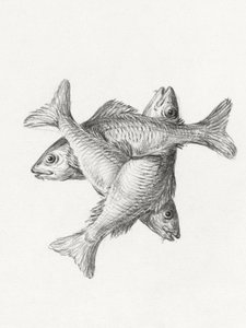Três Peixes (1775–1833) de Jean Bernard