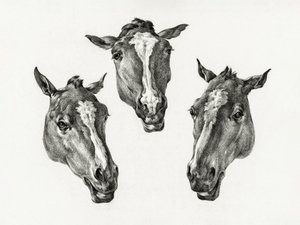 Três Cabeças de Cavalo (1812) de Jean Bernard