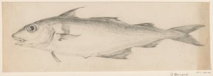 Peixe, à esquerda de Jean Bernard