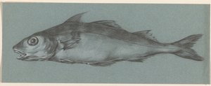 Peixes, à esquerda de Jean Bernard