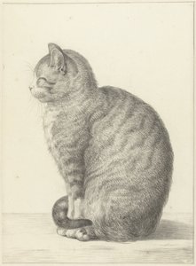 Gato sentado, virado para a esquerda