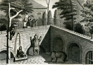 Covil de urso num jardim zoológico de Jean Charles Werner