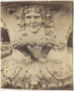 Versailles, Vaso de Jean Eugène Auguste Atget