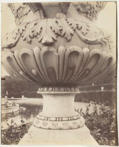 Versailles, Vaso de Jean Eugène Auguste Atget