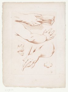 Composição com braços, nariz e parte de um rosto Composições com partes do corpo humano (título da série) de Jean Francois Janinet