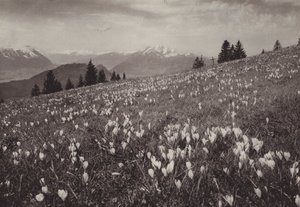 Rigi Kaltbad, Primavera (foto a p/b) de Jean Gaberell