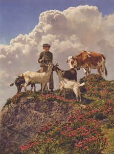 Suíça: Bons Amigos (foto a cores) de Jean Gaberell