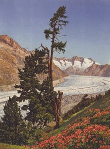 Suíça: Vista do Glaciar Aletsch e do Fiescherhorner de Jean Gaberell