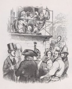 Orangotangos de The Complete Works of Béranger, 1836. de Jean Ignace Isidore Gérard