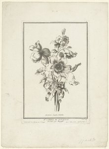 Buquê de anêmona e trepadeira Anêmonas simples, Volubilis (título no objeto) IIe Cahier de Bouquets (título da série) de Jean Jacques Avril (I)