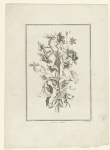 Ramos de narciso e bindweed
Narcisse, Volubilis (título sobre o objecto)
IIª Cahier de Bouquets (título da série) de Jean Jacques Avril (I)