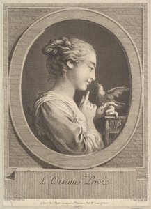 O pássaro domesticado, ca. 1769 de Jean Jacques Flipart