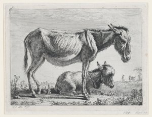Jenny com seu potro, 1797. de Jean Jacques de Boissieu