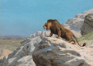 Leão à espreita, c.1885 (óleo sobre painel de madeira) de Jean Leon Gerome