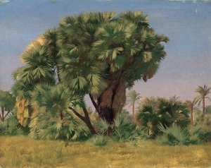 Estudo das Palmeiras de Jean Leon Gerome