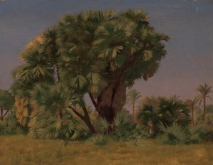 Estudo das palmeiras, provavelmente 1868. de Jean Leon Gerome