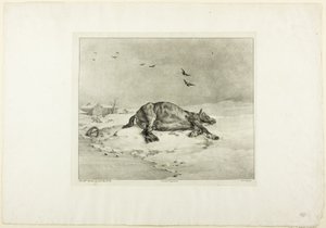 Cavalo morto de Jean Louis André Théodore Géricault