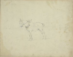 Cavalo de tração