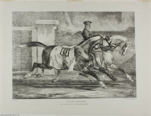 Horses Exercising, plate 6 from Various Subjects Drawn from Life and on Stone (The English Suite) de Jean Louis André Théodore Géricault