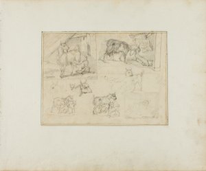 Esboços de cabras de Jean Louis André Théodore Géricault