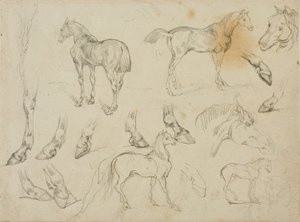 Esboços de um cavalo de Jean Louis André Théodore Géricault
