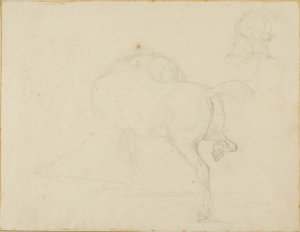 Estudo de um cavalo a virar a cabeça e a levantar a pata traseira de Jean Louis André Théodore Géricault
