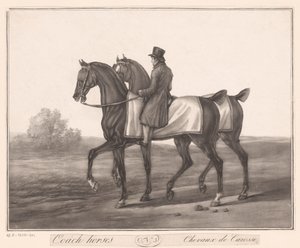 Cavaleiro acompanha dois cavalos Chevaux de Carosse (título no objeto) de Jean Louis Darcis (attributed to)