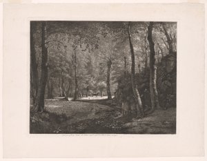 A floresta de Rochecardon