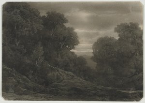 Paisagem com árvores. de Jean Philippe George