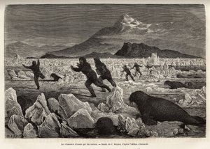 Parte da tripulação do navio La Germania, nas Ilhas Clavering, descendo no gelo para caçar, foram caçados por morsas que saíam da água, gravadas após o desenho de J.Moynet, ilustrando uma viagem ao Pólo Norte em 1869-1870 por