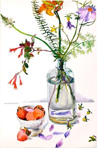 Estudo floral com romãs (aguarela e tinta sobre papel) de Jean Swan Gordon