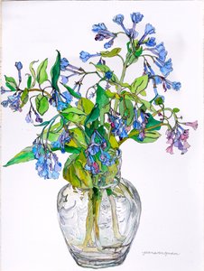 Virginia Blue Bells in Narrow Necked Vase, 2006 (aguarela e tinta sobre papel)