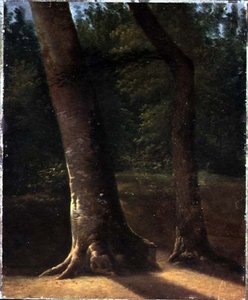 Estudo das árvores, c.1815 (óleo sobre papel) de Jean Victor (attr. to) Bertin