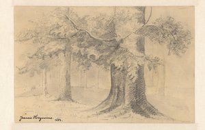 paisagem com árvores de Jeanne Marie Heynsius (signed by artist)