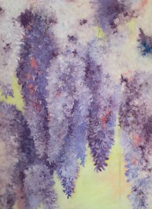Flores de glicínias, 2023 (pastel sobre papel)