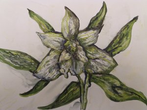 Orquídea verde