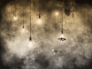 Traça e lâmpadas brilhantes de Jeffrey Hummel