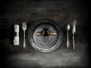 Uma refeição de besouros inquietante