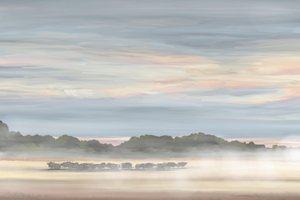 Paisagem matinal enevoada