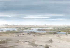 Paisagem de zonas húmidas enevoadas