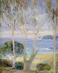 A Clear Day, Califórnia Coast, c.1918 (óleo sobre tela) de Jennie Vennerstrom Cannon