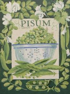 Pisum, Ervilhas (acrílico) de Jennifer Abbott