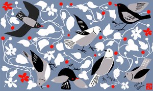 Birdy de Jenny Frean
