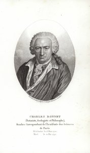 Charles Bonnet de Jens Juel