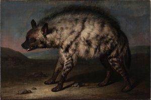 A hiena no zoológico no Castelo de Frederiksberg de Jens Juel