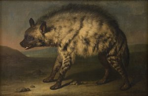 A hiena no zoológico no Castelo de Frederiksberg de Jens Juel